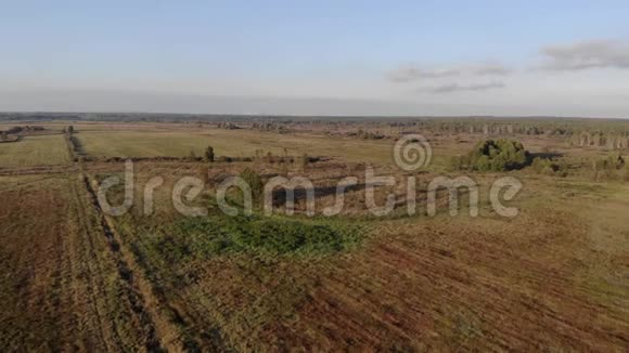 飞越一片长满青草的农田在无人驾驶飞机上射击视频的预览图