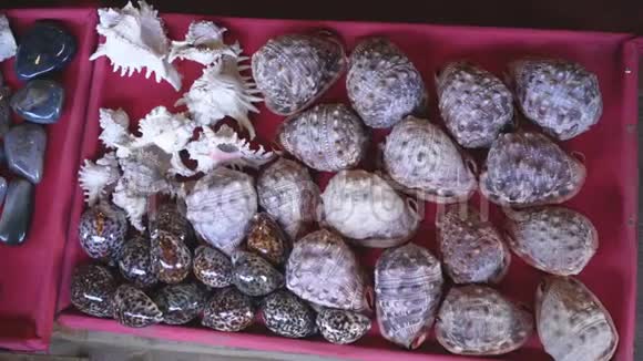 马达加斯加塔那那利佛当地市场上展示的贝壳和光滑的卵石视频的预览图