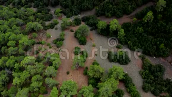 空中无人驾驶飞机射击塞浦路斯的山林道路视频的预览图