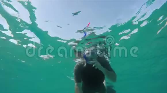 潜水员沿着珊瑚礁游泳视频的预览图