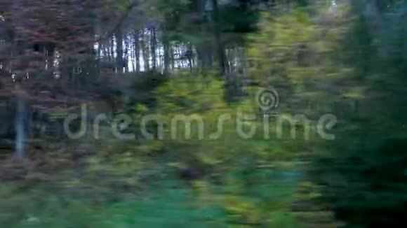 绿色移动的森林从车里射出视频的预览图