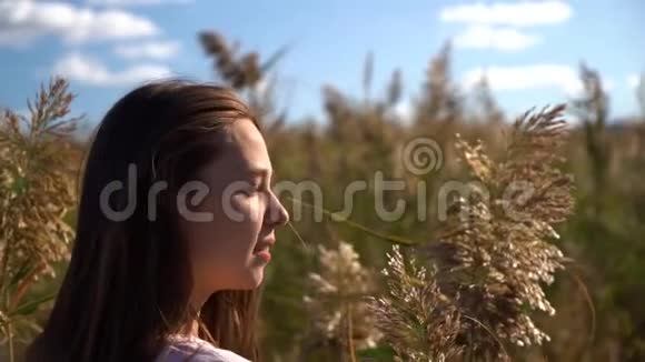漂亮的年轻女孩的肖像穿着粉红色的t恤在田野里慢镜头地看着镜头视频的预览图