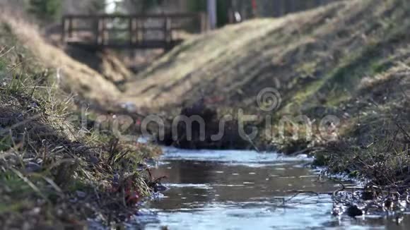 关闭山林小溪新鲜纯净流水视频阳光明媚的春天模糊的背景下的小木桥视频的预览图