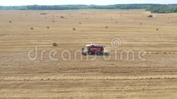 农田视野中的农民联合收割熟麦粒视频的预览图