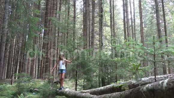 森林漫步树日志中的孩子公园里的孩子露营冒险女孩视频的预览图