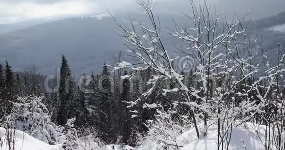 冬日阳光明媚的山景视频的预览图