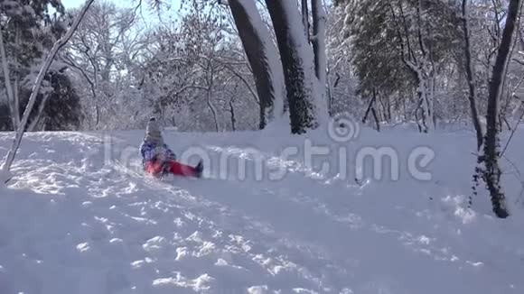 孩子在雪中雪橇小女孩在冬天玩耍孩子在Park4K雪橇视频的预览图