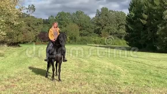 金发女郎骑着一匹马在绿色的田野上马具马脸鬃毛视频的预览图