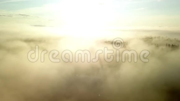 瑞典北部森林景观上空乌云密布的日出金色阳光视频的预览图