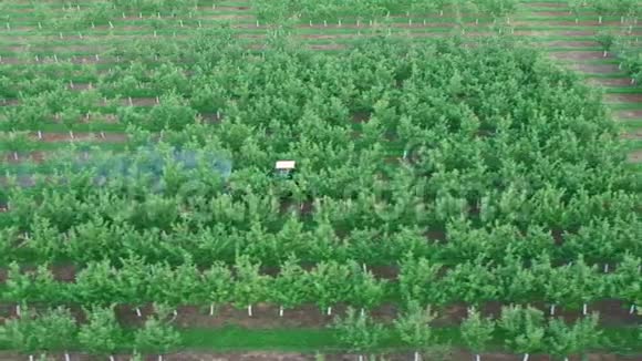 用喷洒除草剂和杀虫剂喷洒花园中的苹果树视频的预览图