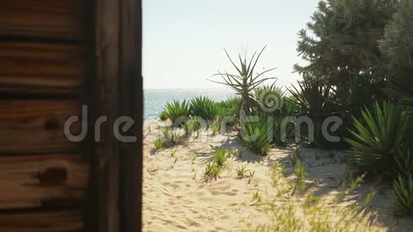 从木制沙滩屋后面到通往海滩的沙路旁边有小灌木丛和灌木远处有平静的大海视频的预览图