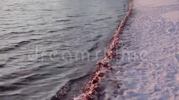 在冰冻的鹅卵石海滩上挥手视频的预览图