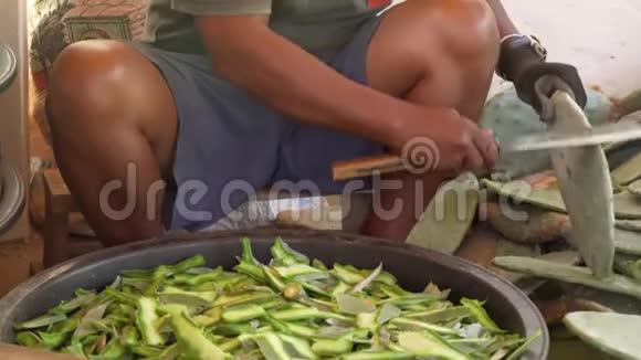 人用大刀切仙人掌植物绿色碎片将用作乌龟的食物细节在腿和手上视频的预览图