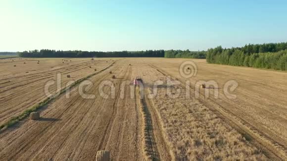 田间空中观景农业联合粮食作物机械收割机视频的预览图