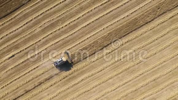 联合收割机在农田中收集麦粒俯视视频的预览图