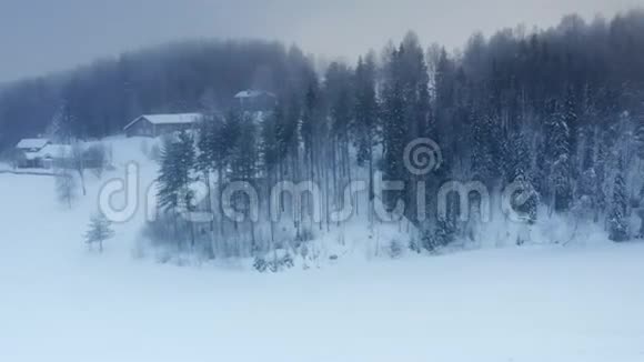 冬季松树森林的空中全景亚北极景观冰冻的多雾的空气低云老高的松树上多雪视频的预览图