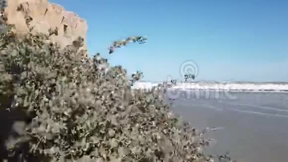 意大利海景巴里阿普利亚视频的预览图