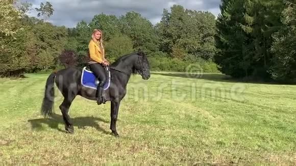 金发女郎骑着一匹马在绿色的田野上马具马脸鬃毛视频的预览图