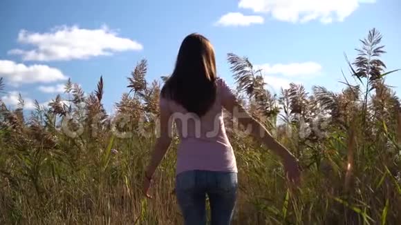 年轻女子或穿着粉色t恤和蓝色牛仔裤的女孩的后景手在野外缓慢地走着视频的预览图