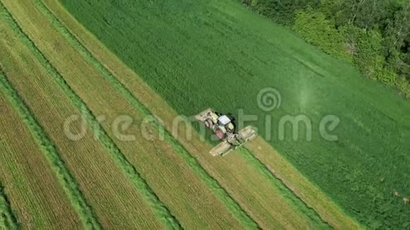 农村拖拉机在农业田景中为干草割草视频的预览图