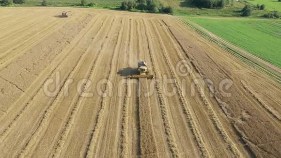 联合收割机在金色空中农业田收获粮食视频的预览图