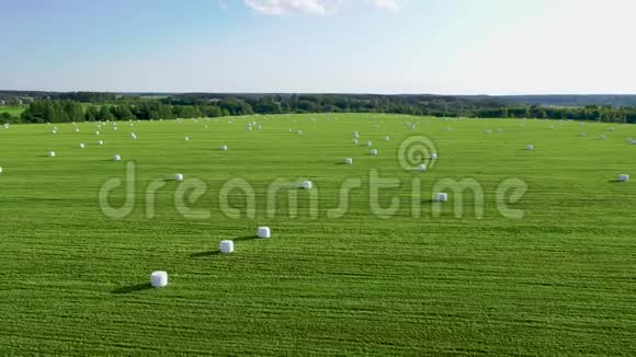 夏日用干草卷包裹干草的田园视频的预览图