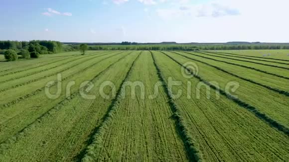 用草和干草卷包裹成干草的农田视频的预览图