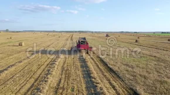农村景观收割机收割熟粮农业田间采集作物视频的预览图