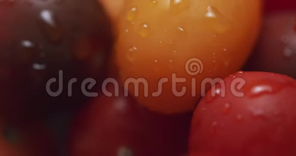 传家宝葡萄樱桃番茄视频的预览图
