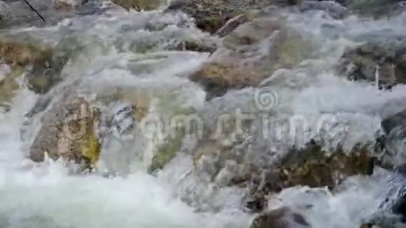 泉水流过岩石慢动作视频视频的预览图