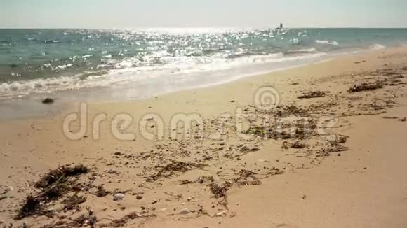 低角度拍摄潮湿的沙滩上有一些藻类和小贝壳平静的海浪阳光明媚的天空小船在远处视频的预览图