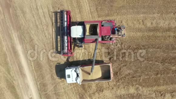 农场联合收割的小麦粮食进入卡车拖车空中视频的预览图