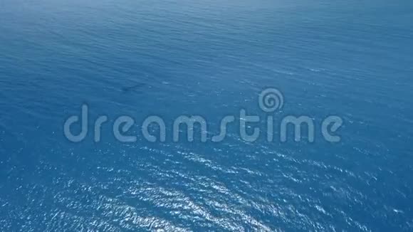 空中摄像机捕捉平静的蔚蓝海洋视频的预览图