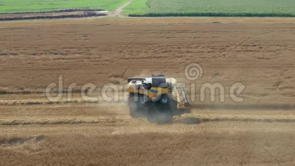 农田视野中的农民联合收割熟麦粒视频的预览图
