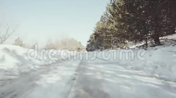 飞多利车飞雪山高姿态路旁森林松树景观电影院视频的预览图