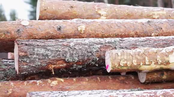 森林木材砍伐的慢锅刚剪好的树木原木堆起来工业木材储存现代林业外部视频的预览图