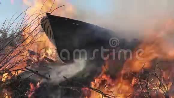 瓦尔堡沃尔普吉斯夏娃或夜晚迎接篝火在瑞典燃烧旧木船在开放的篝火乌视频的预览图