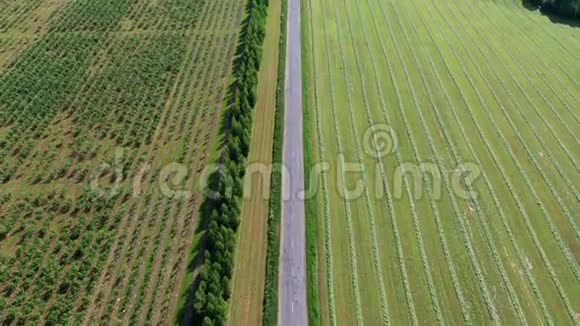 分隔果园和农田的空中公路视频的预览图