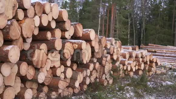 森林木材砍伐的慢锅刚剪好的树木原木堆起来工业木材储存现代林业外部视频的预览图