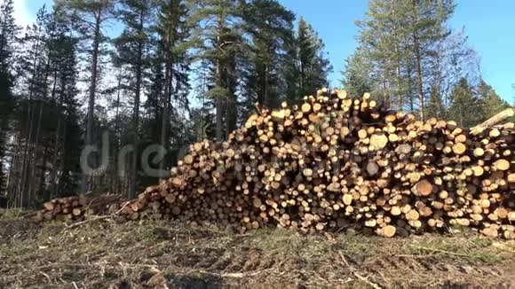 关于森林中木材砍伐的潘刚剪好的树木原木堆起来工业木材储存瑞典现代林业视频的预览图