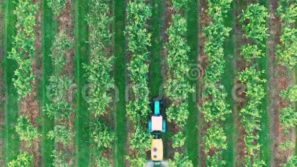 用除草剂和杀虫剂喷洒花园苹果树视频的预览图
