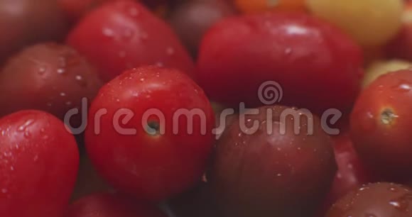 传家宝葡萄樱桃番茄视频的预览图