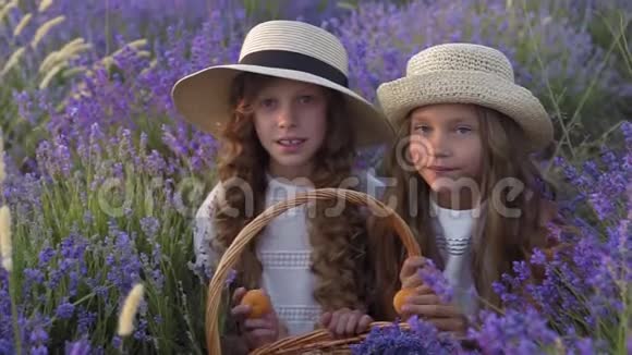两个小女孩朋友在草田野餐吃杏子视频的预览图
