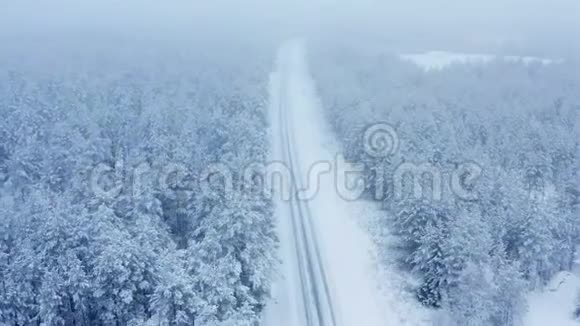 沿着一条空旷的道路飞在平静的雪中飞过雪杉松树变成雪云风景优美童话冬季森林视频的预览图