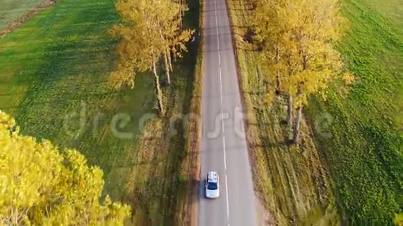 日落时分带屋顶主干的灰色汽车正在秋天的乡村道路上穿过树木视频的预览图