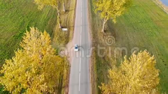 灰色汽车带屋顶运输箱在日落时驾驶秋天的乡村道路穿过树木顶部空中景观视频的预览图