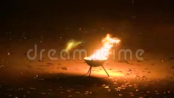 在金属火盆里燃烧视频的预览图