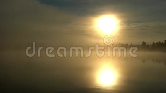 斯堪的纳维亚金色的太阳从雾蒙蒙的湖泊和森林中升起在水中倒影雾蒙蒙的空气中神秘的玩耍放松和视频的预览图