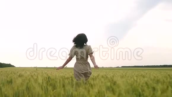一个穿着裙子的女孩穿过麦田享受着大自然自由灵感的概念视频的预览图
