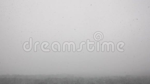 暴风雪中森林上空乌云密布的雪花视频的预览图